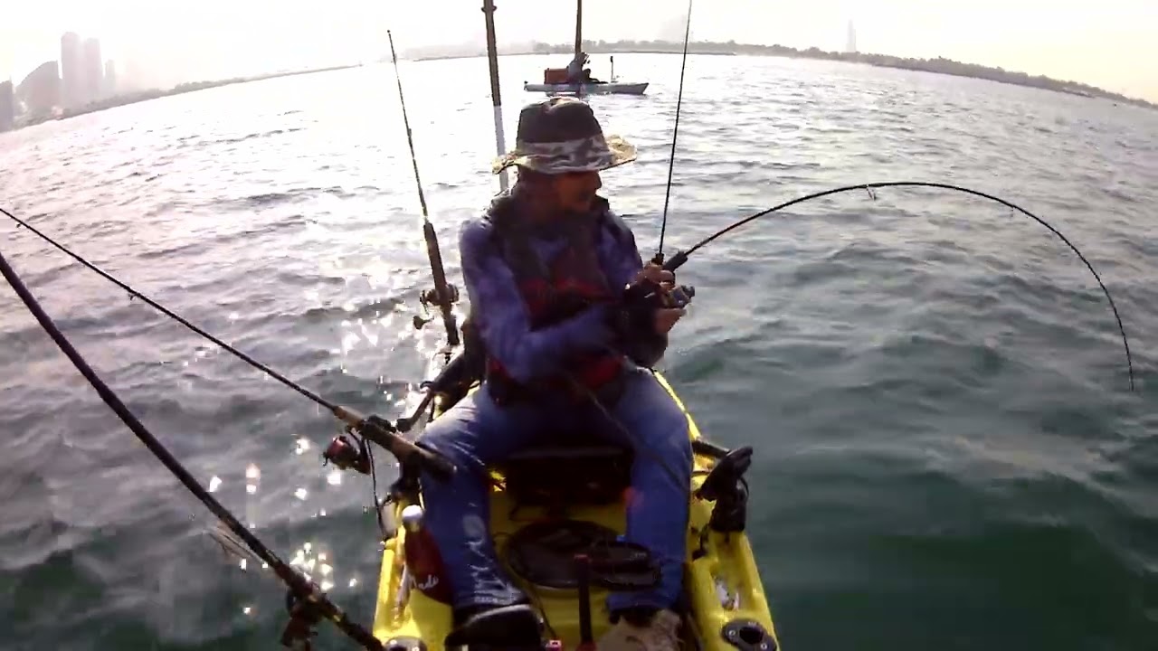 Catch & Release queenfish