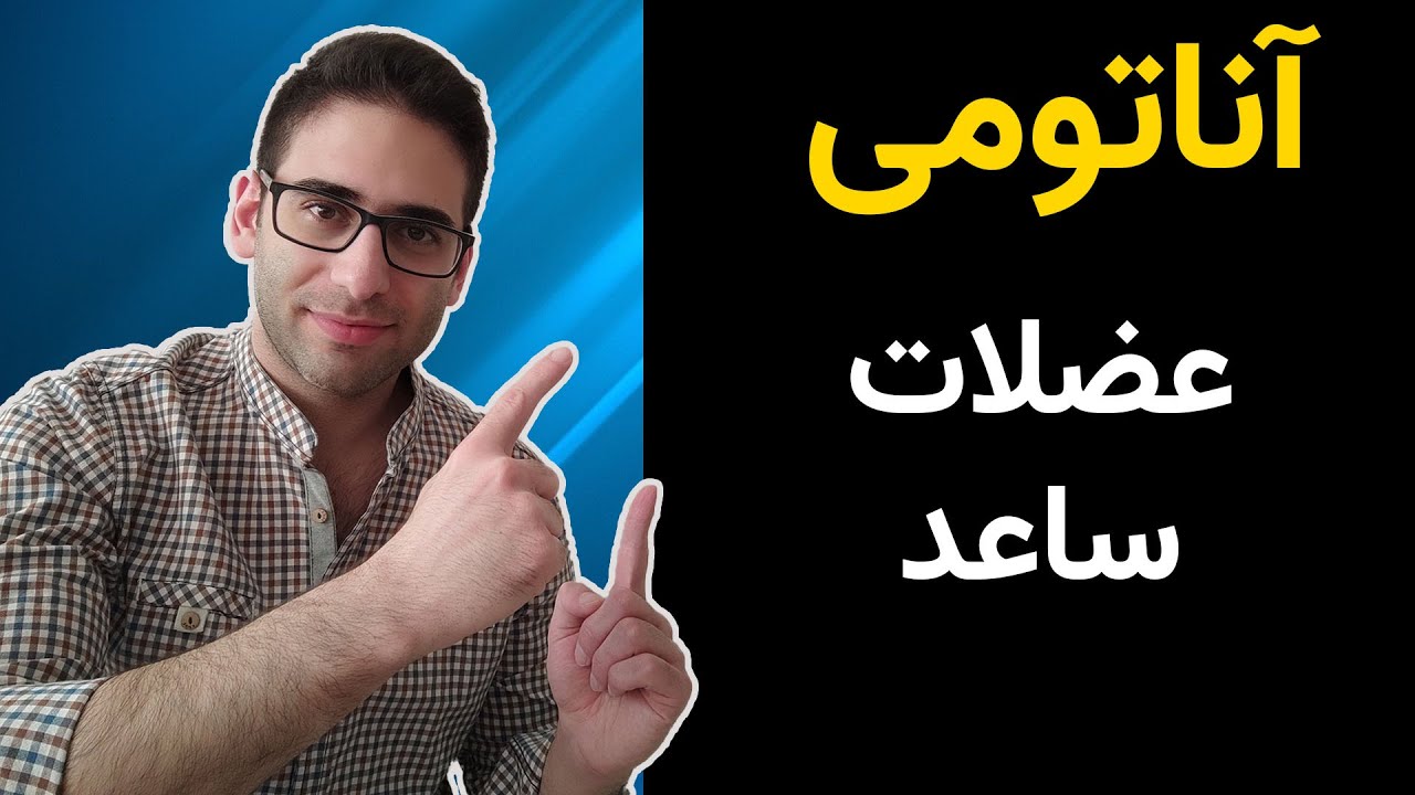 آناتومی عضلات ساعد بدن