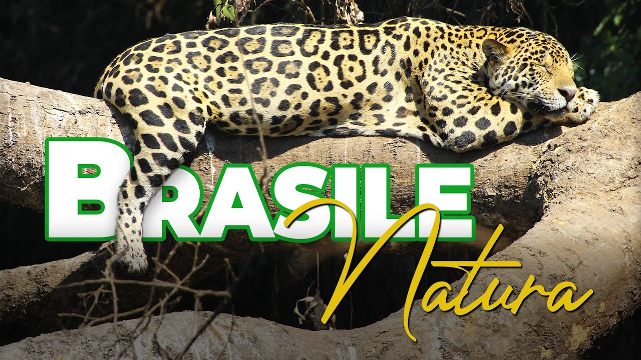 Brasile Natura - Avventure nel Mondo