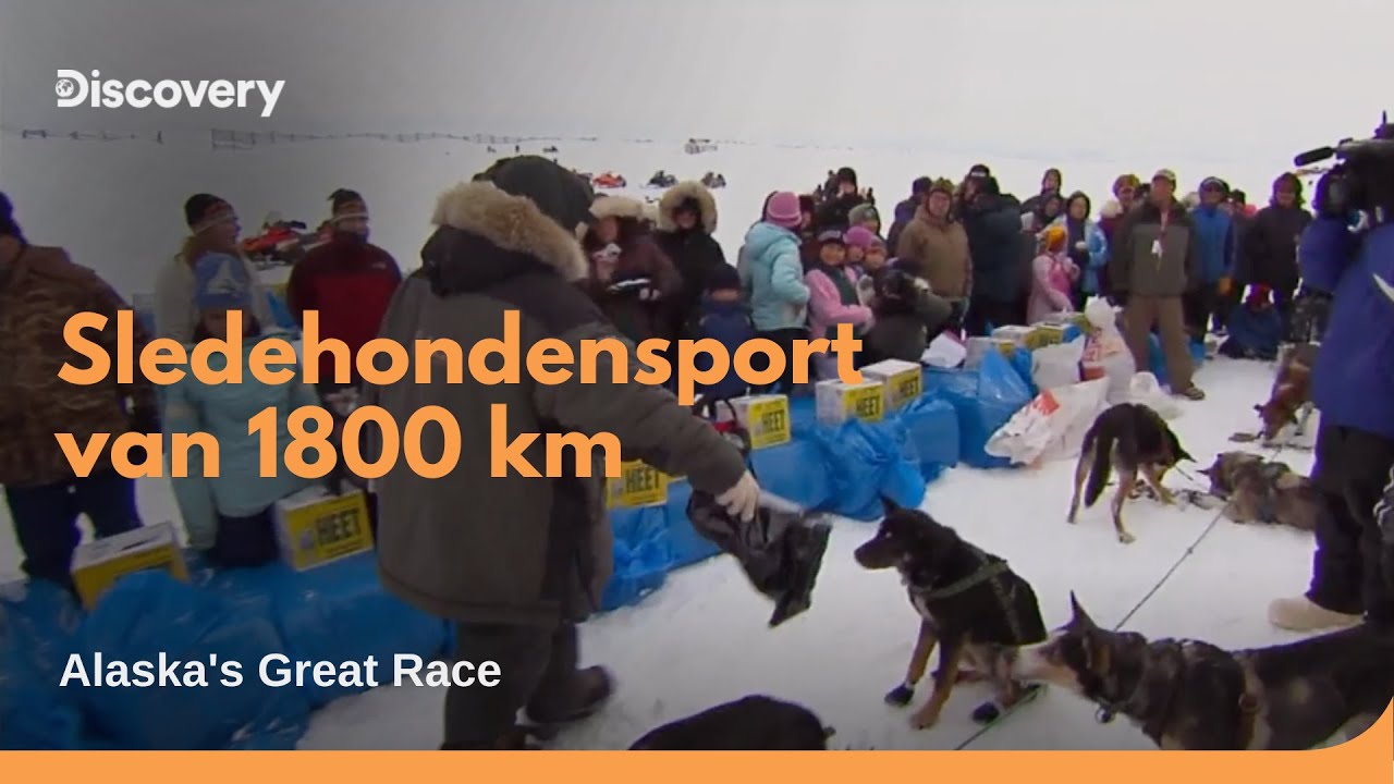 1800 Km Sledehonden Door De Wildernis | Alaska's Great Race