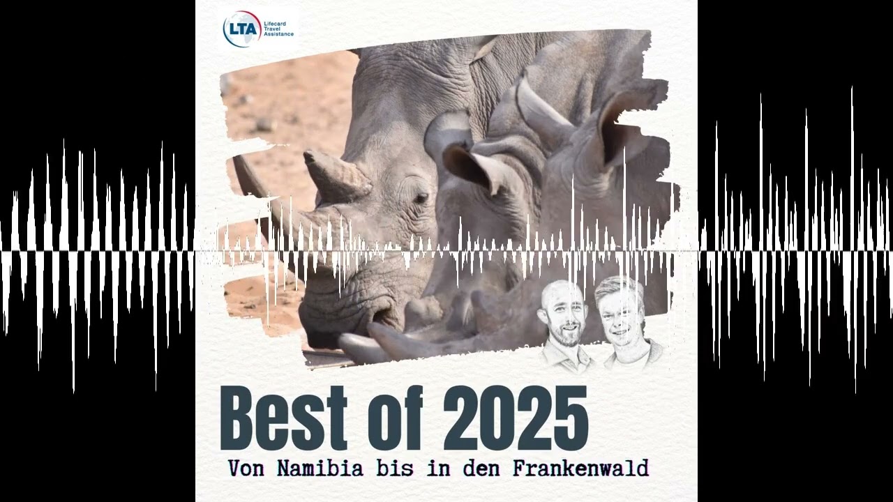 Schlangen anfassen und Olivenöl kosten: Das waren unsere schönsten Momente in 2025