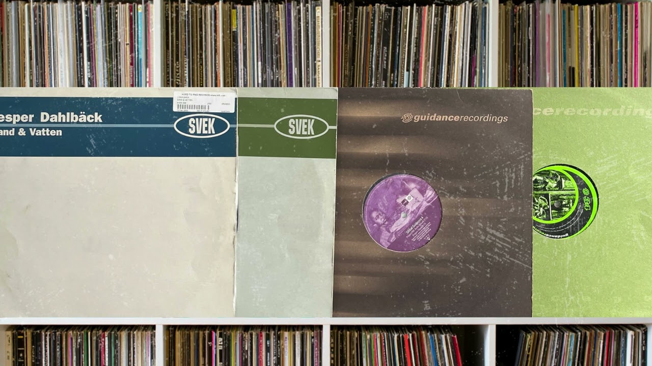 Svek vs Guidance Recordings vinyl mix