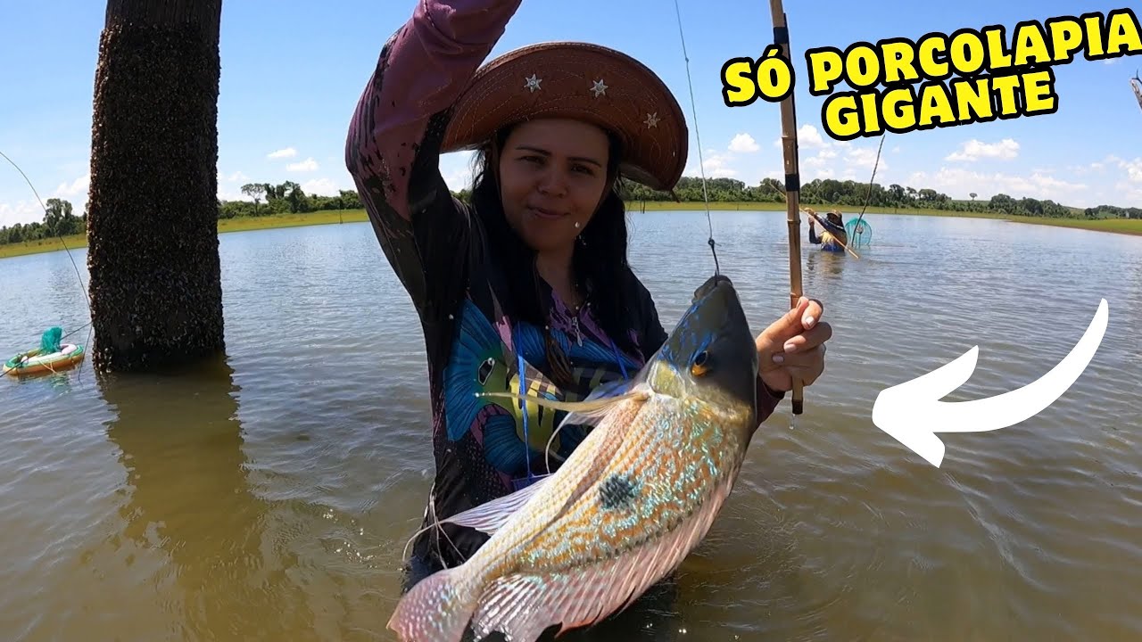 PESCARIA DE PORQUINHO GIGANTE NO RIO GRANDE NOVO LOCAL #pesca