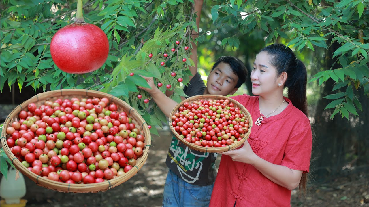 Jamaican Cherry Dessert: My childhood fruit in every season | Have you ever try Jamaican Cherry