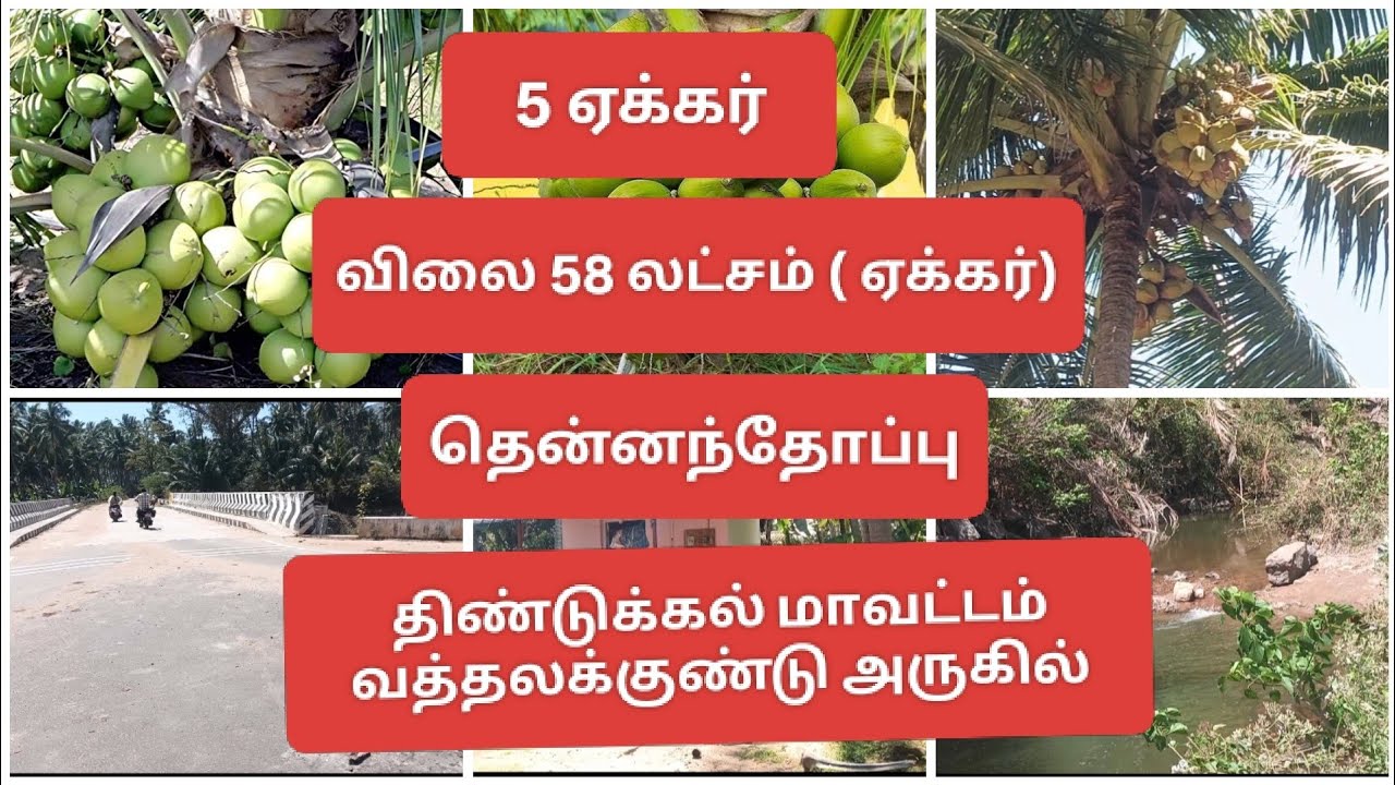 9944579660/திண்டுக்கல் மாவட்டம்/ வத்தலகுண்டு அருகில்/5 ஏக்கர்/விலை 58 லட்சம்(ஏக்கர்)/தென்னைந்தோப்பு