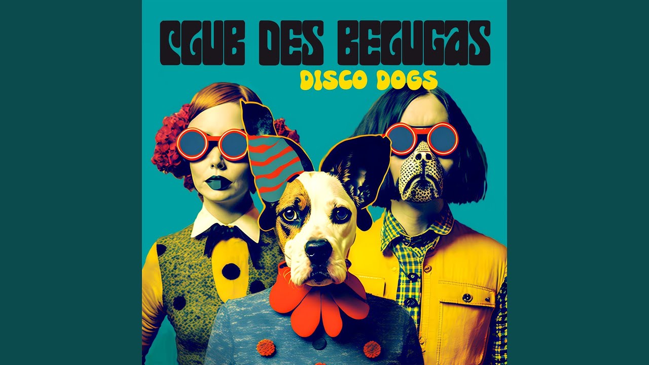 Disco Dogs