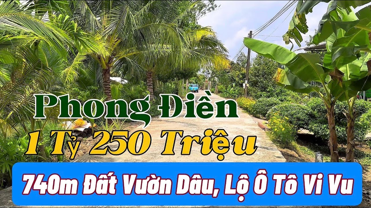 Đất Vườn Nghĩ Dưỡng Có Sẵn Cây Ăn Trái | Linh Cần Thơ 