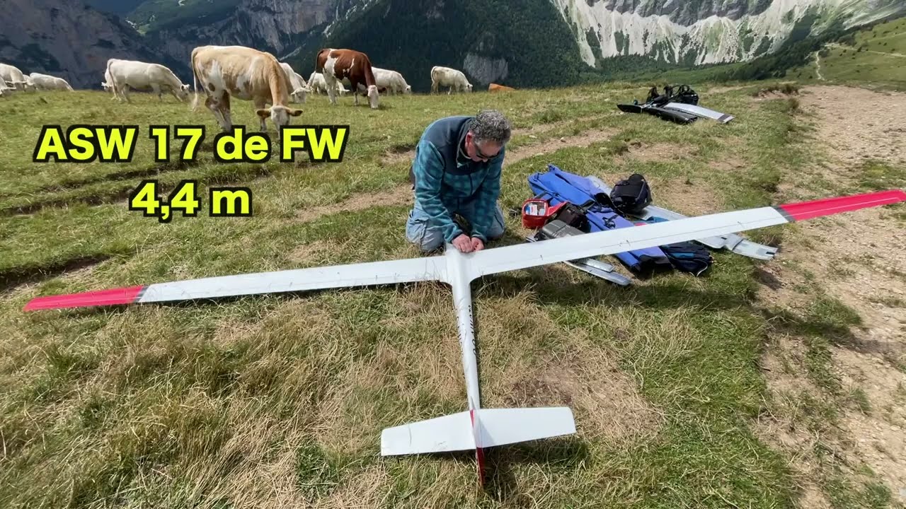 ASW 17 de FW