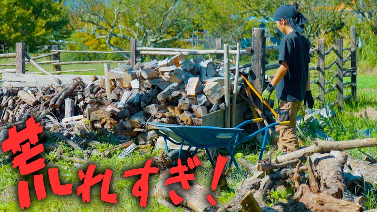 放置して手を出せずにいた場所…0から整える【ビフォーアフター】