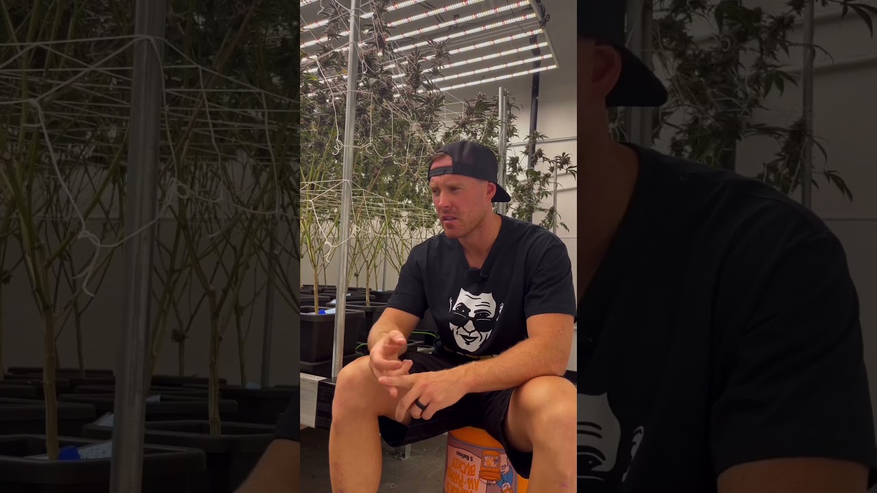 Datfye from Bend, Oregon has been growing with #AutoPot for 10 years!