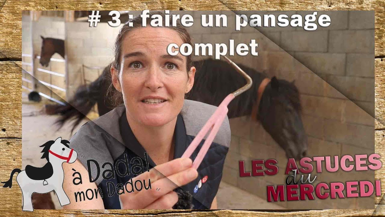 Comment faire un pansage complet ?