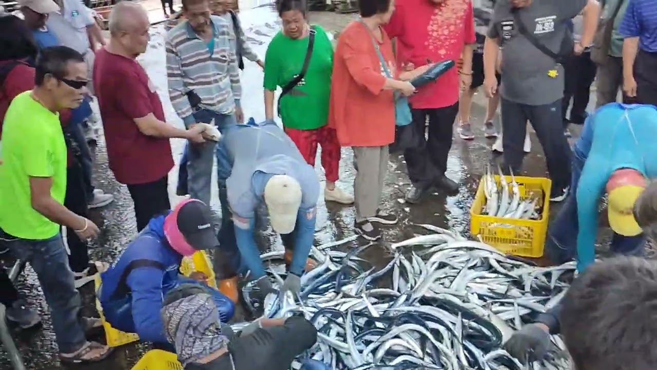 活跳跳海鮮堆成山！直擊漁港卸貨現場，海鮮控看了會暴動！粉鳥林漁港 訂製魚場 fish 0