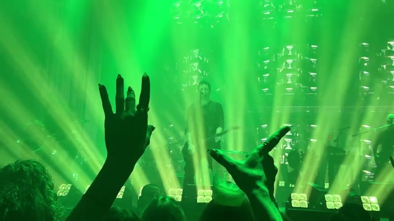 Nine Inch Nails - The Perfect Drug
