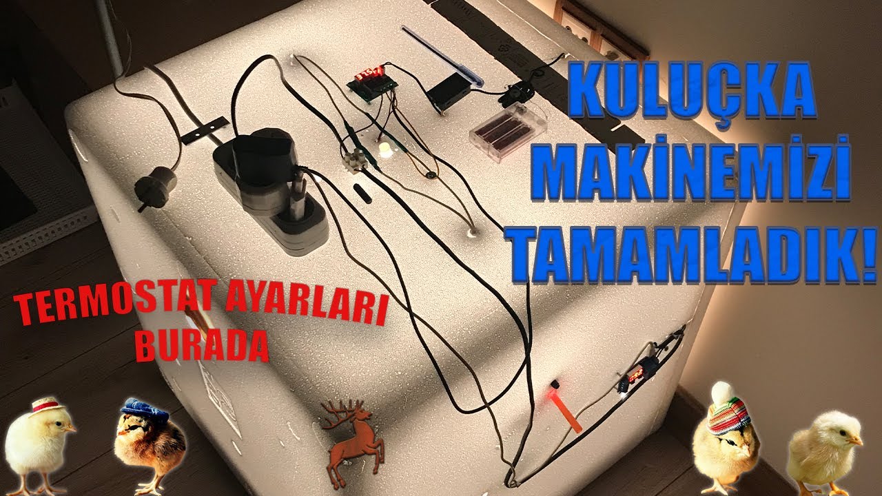 Kuluçka Makinesi Yapımını Tamamladık!