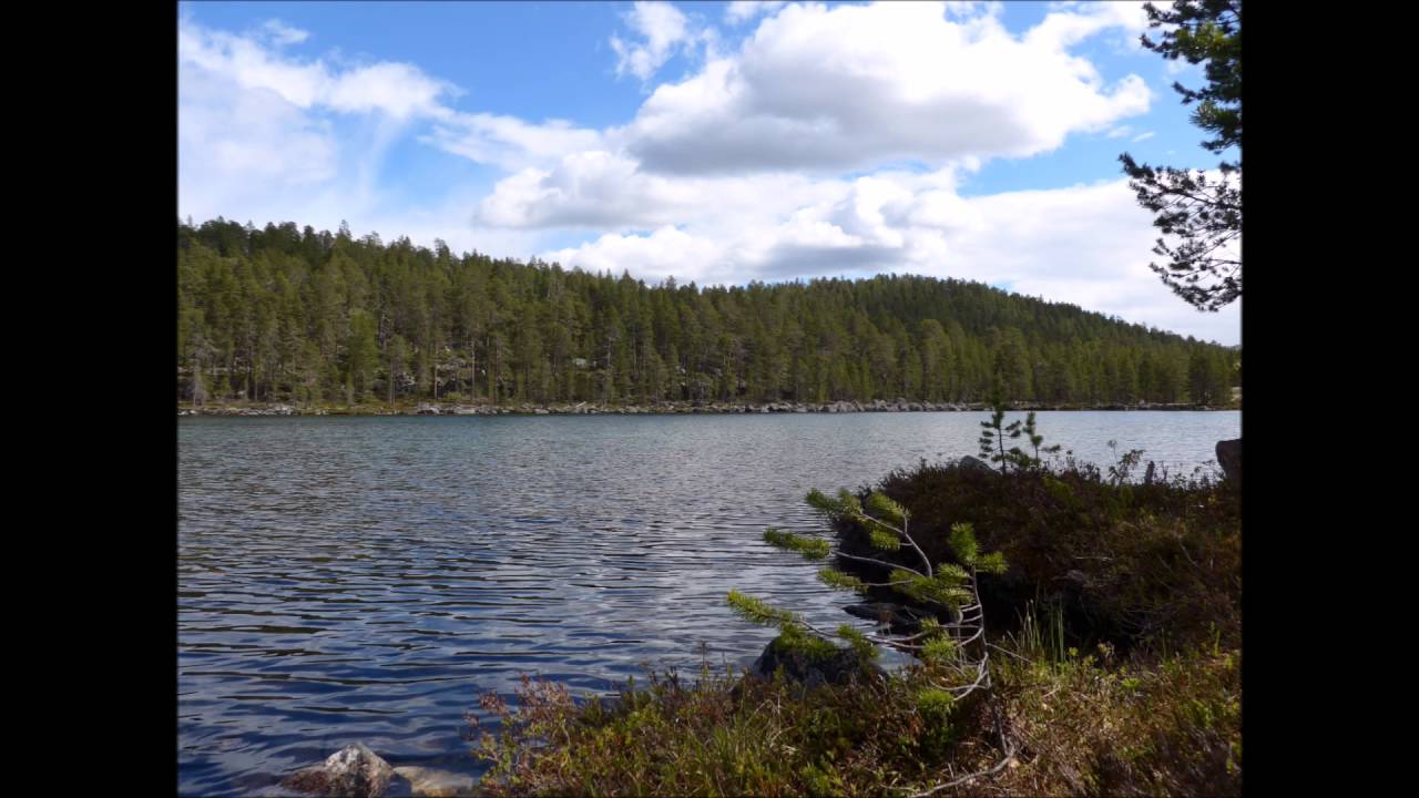 H&auml;n J Karjalainen