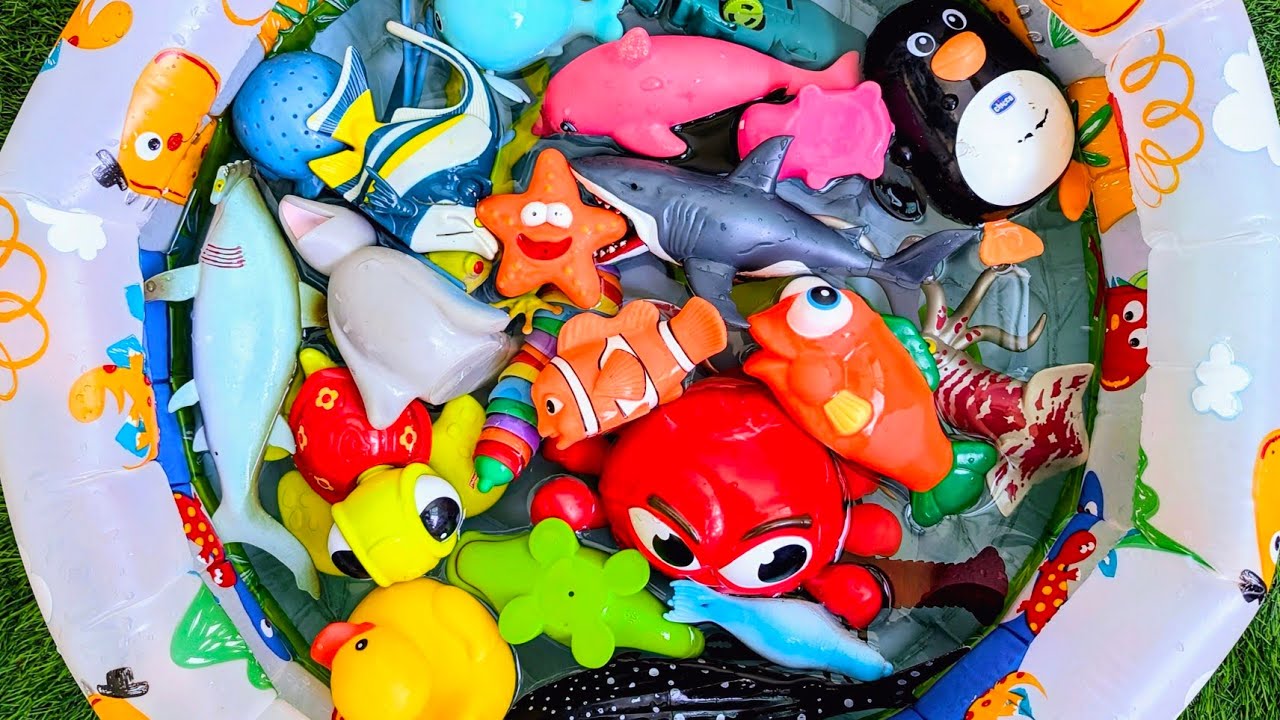 Learn Sea Creatures for Kids – Learn Ocean Animals with Toys & Easy Fun Facts | Preschool Video