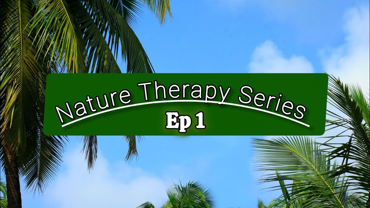 Nature Therapy Series Ep 1 🌿 | Healing Nature Visuals + Relaxing Flute Music