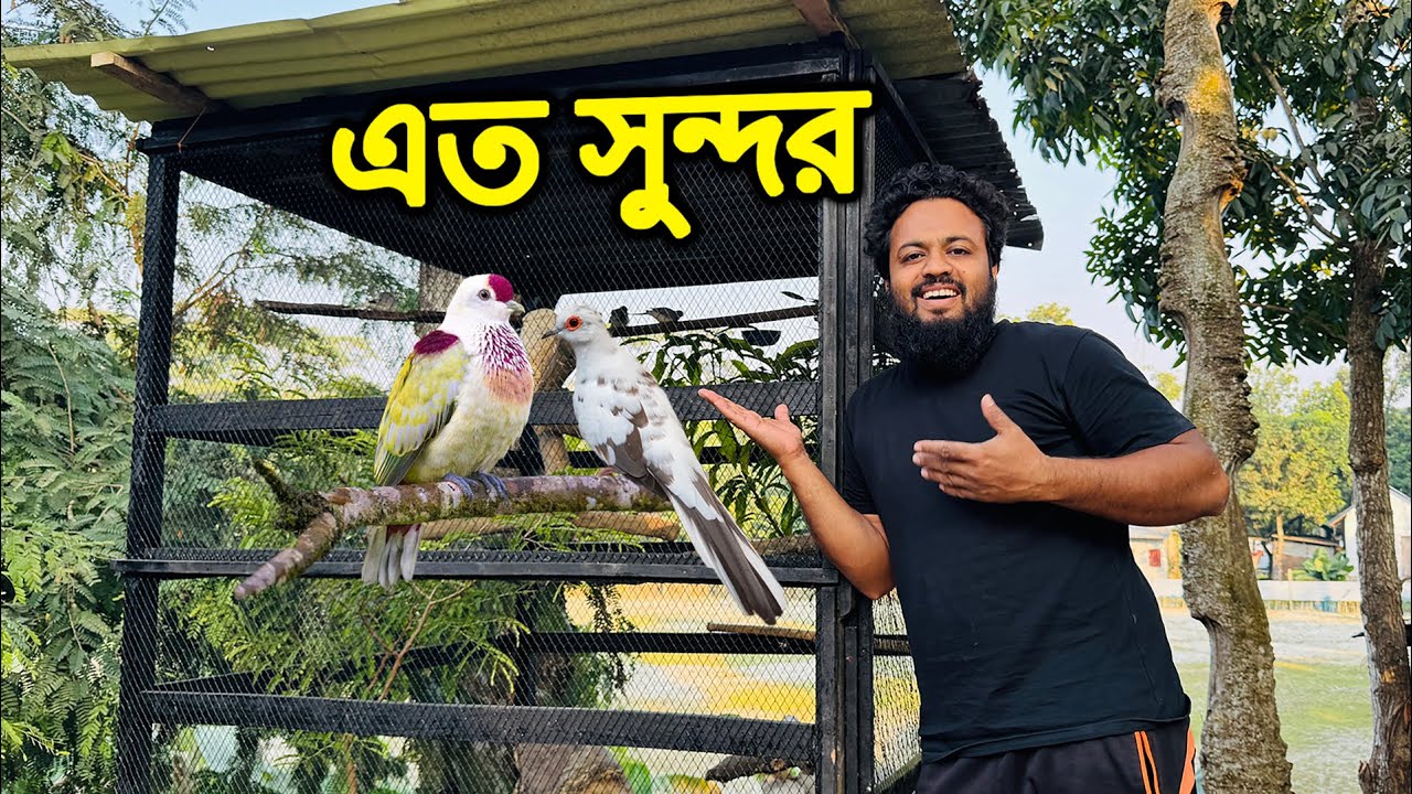 চমৎকার সুন্দর সেটাপ বানিয়েছি বিদেশী পাখির জন্য