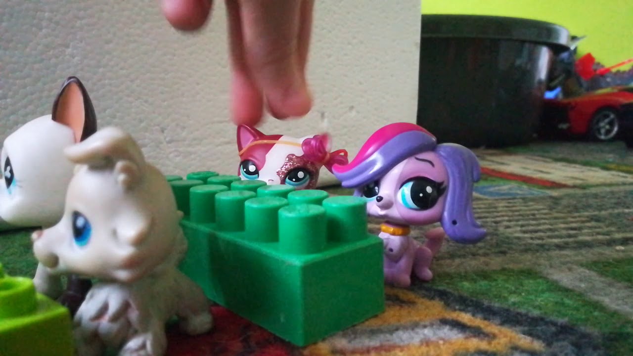 Lps škola for Pinky pie