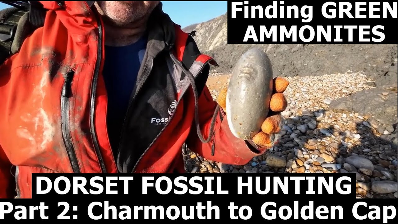 #fossilhunting on the #dorset #jurassiccoast Part 2 Charmouth to Golden cap. HUNTING GREEN AMMONITES