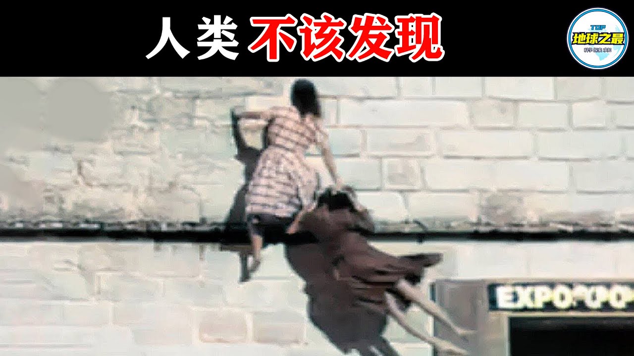 好奇害死猫，这些东西不该被人类发现！15个你从未见过的惊人事物！丨地球之最#冷知识 #排名 #世界之最#惊人发现#世界之最top#出类拔萃#top10#女巫