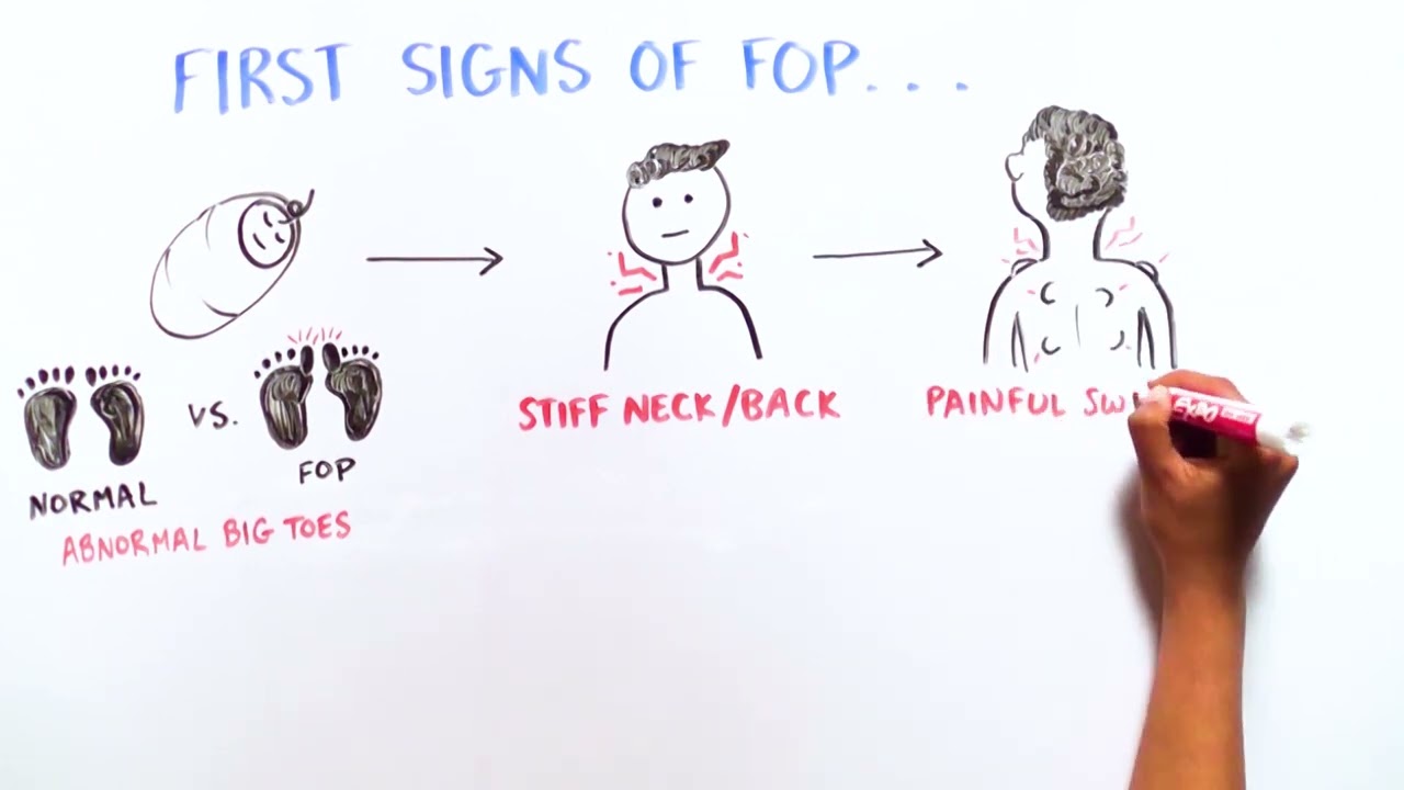 FOP Science Made Simple