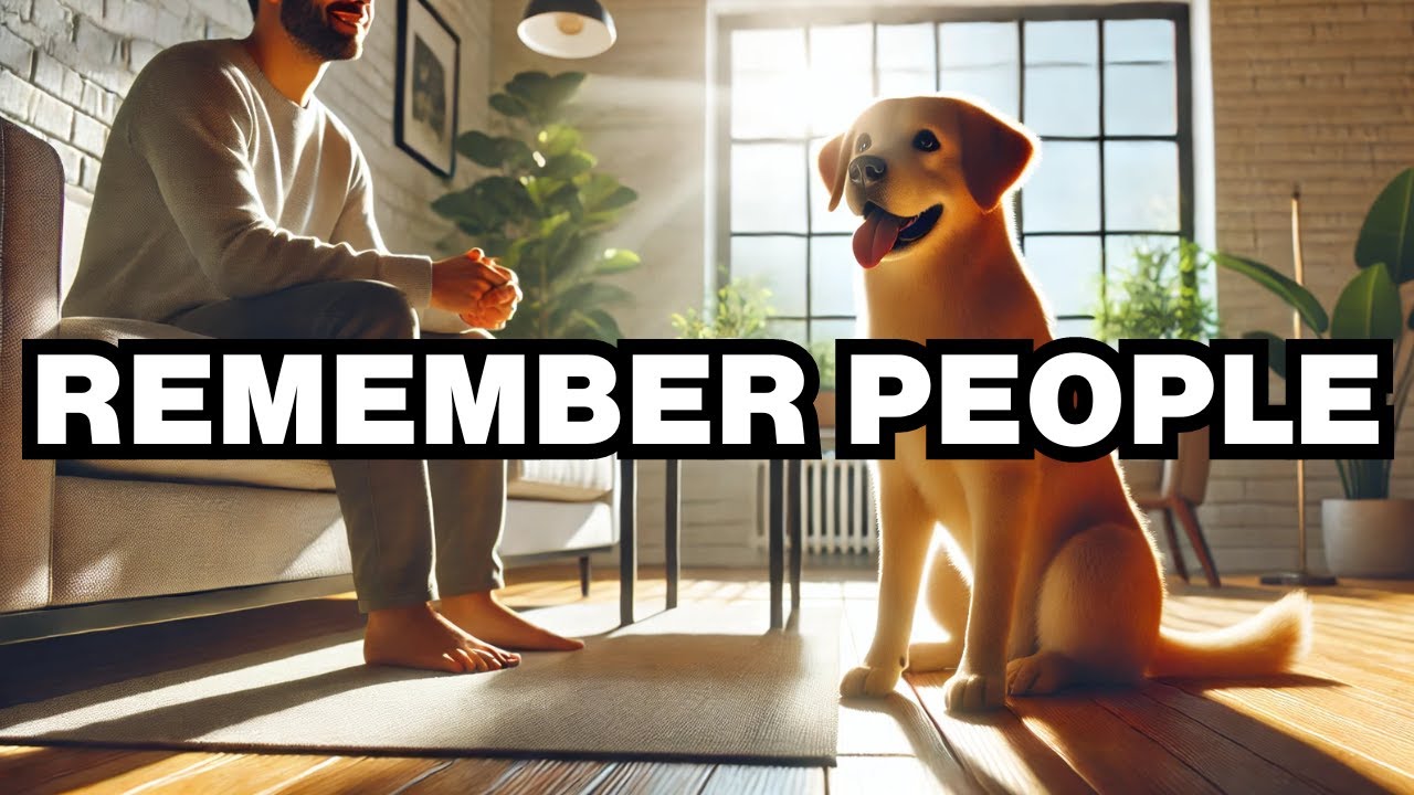 Can Dogs Remember People? Explained
