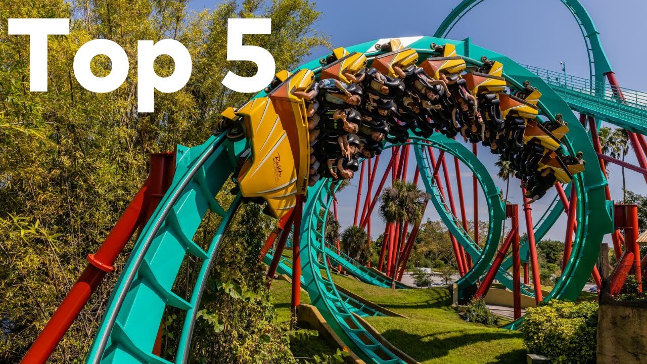 Top 5 B&M Sit Down Coasters