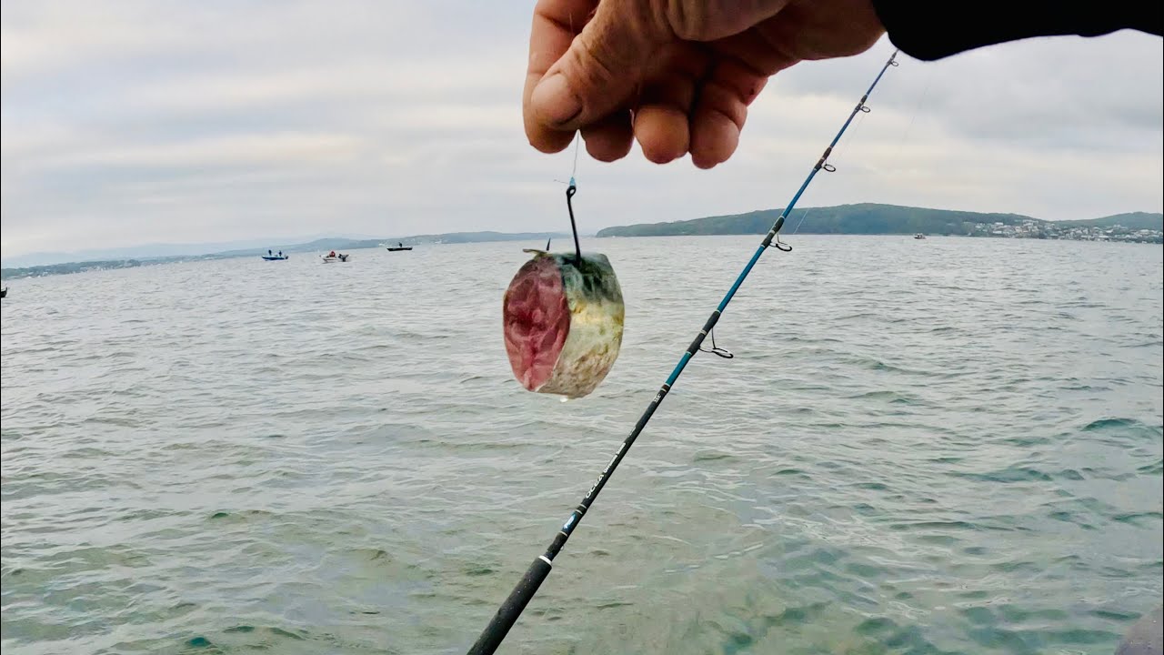 Simple easy fishing for quality fish Catch & cook