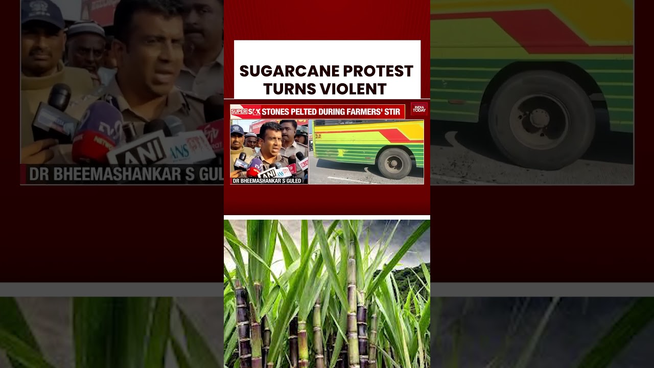Karnataka Farmers&rsquo; Sugarcane Protest Turns Violent, Stones Pelted Over Price Demands #breakingnews