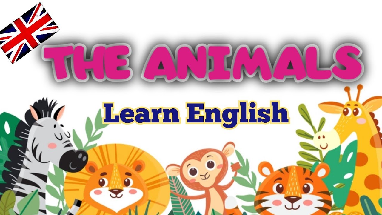 The animals - gli animali più comuni  in Inglese.