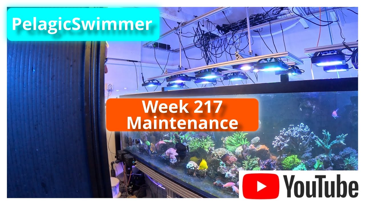 Week 217 Maintenance
