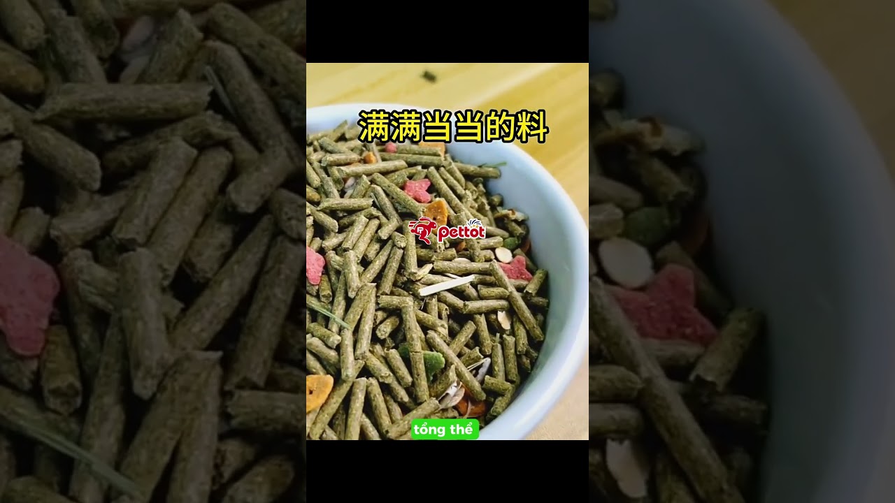 Thức ăn cho thỏ cảnh JP 56 2.5KG gi&aacute; Tốt