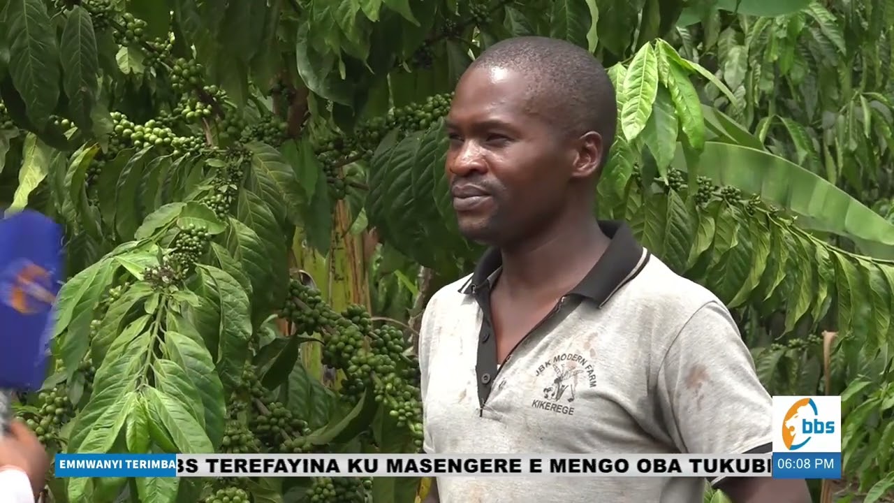 Byolina okwegendereza nga tonasimba mmwanyi okufunamu obulungi #EmmwanyiTerimba