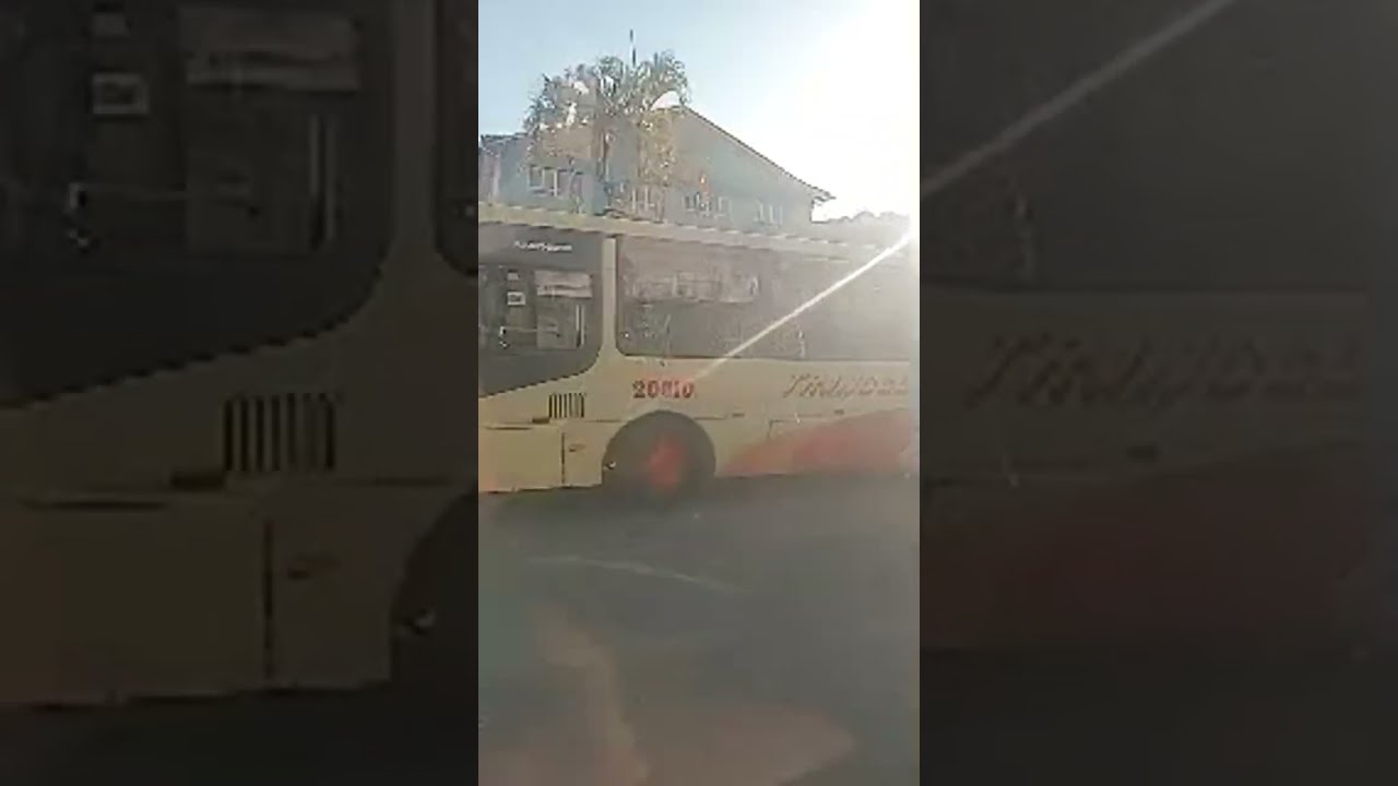 ZICKN10 está ao vivo!