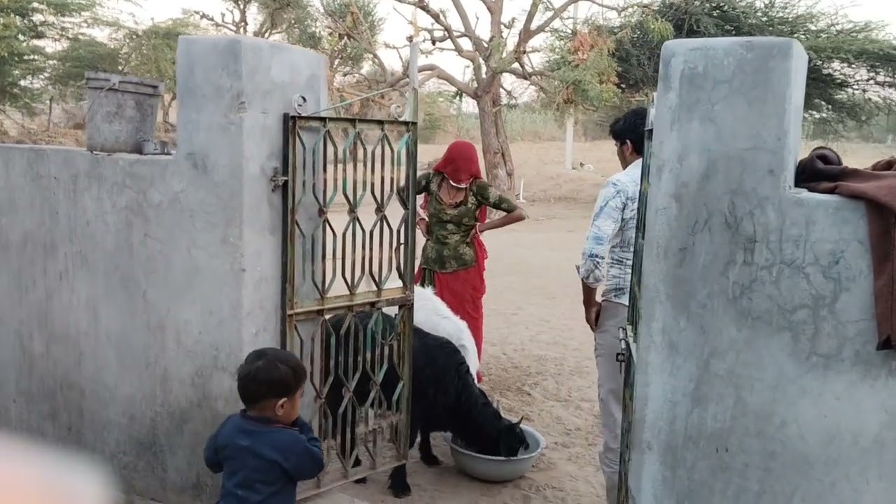 टॉप वीडियो फनी वीडियो