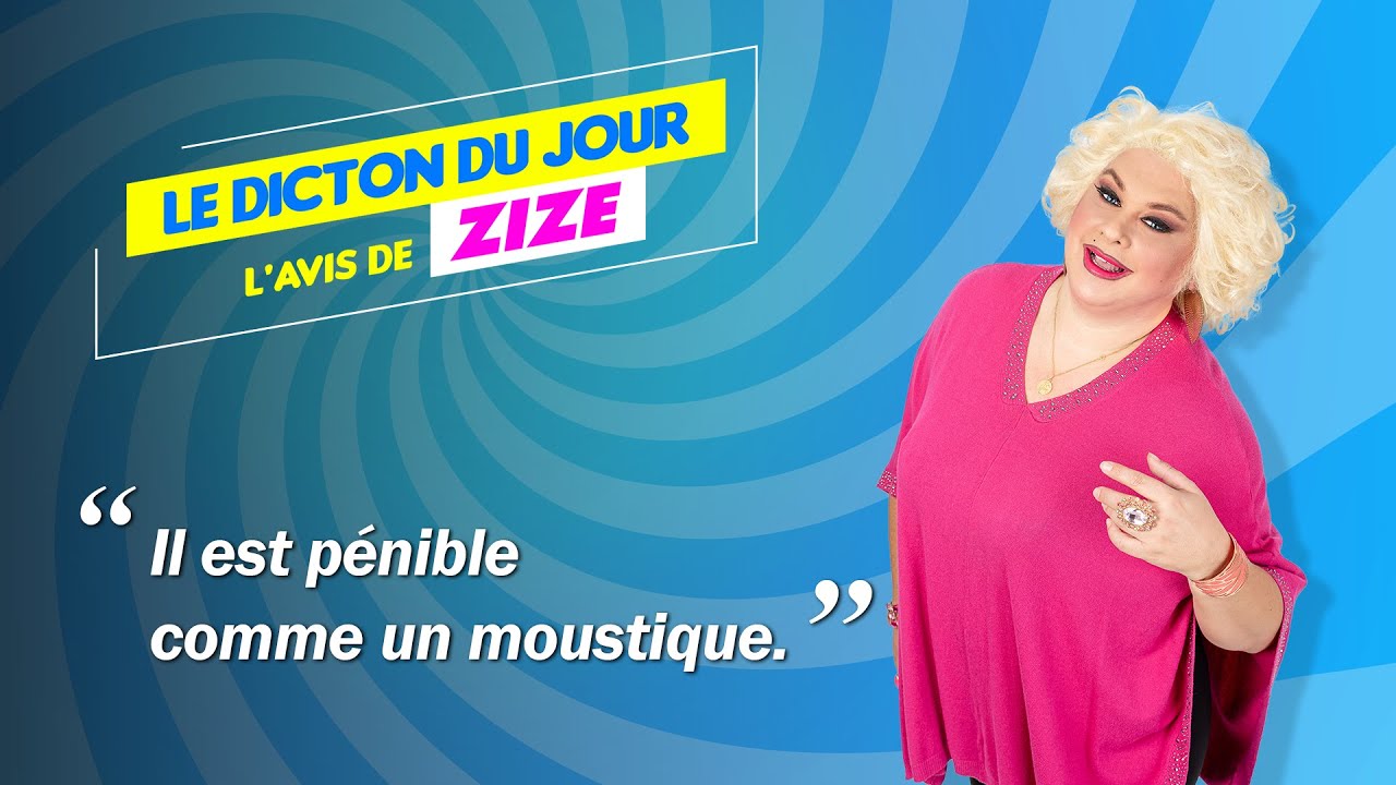 Le dicton du jour : Il est pénible comme un moustique.