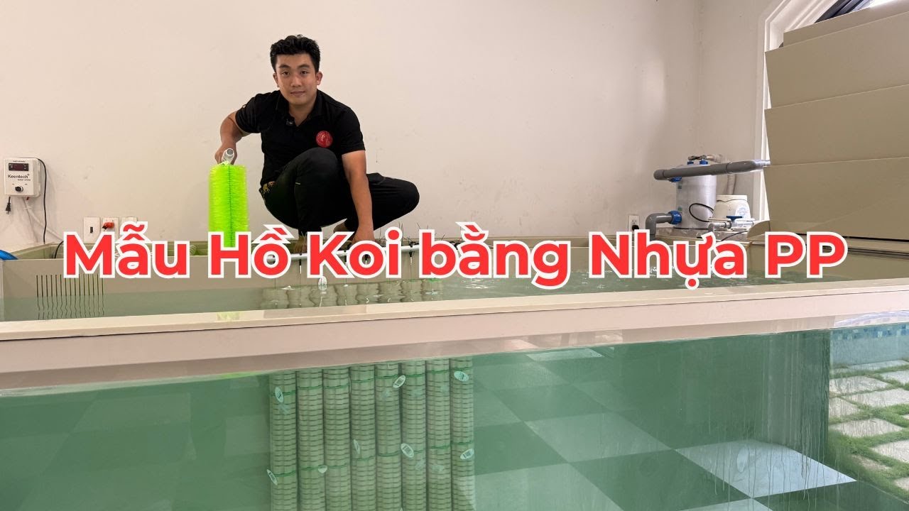 Mẫu Hồ Koi bằng Nhựa PP View Kiếng Đa Dụng Mọi Khu Vực - Dưỡng Lạnh - Dưỡng Koi #loczenkoi #cakoi