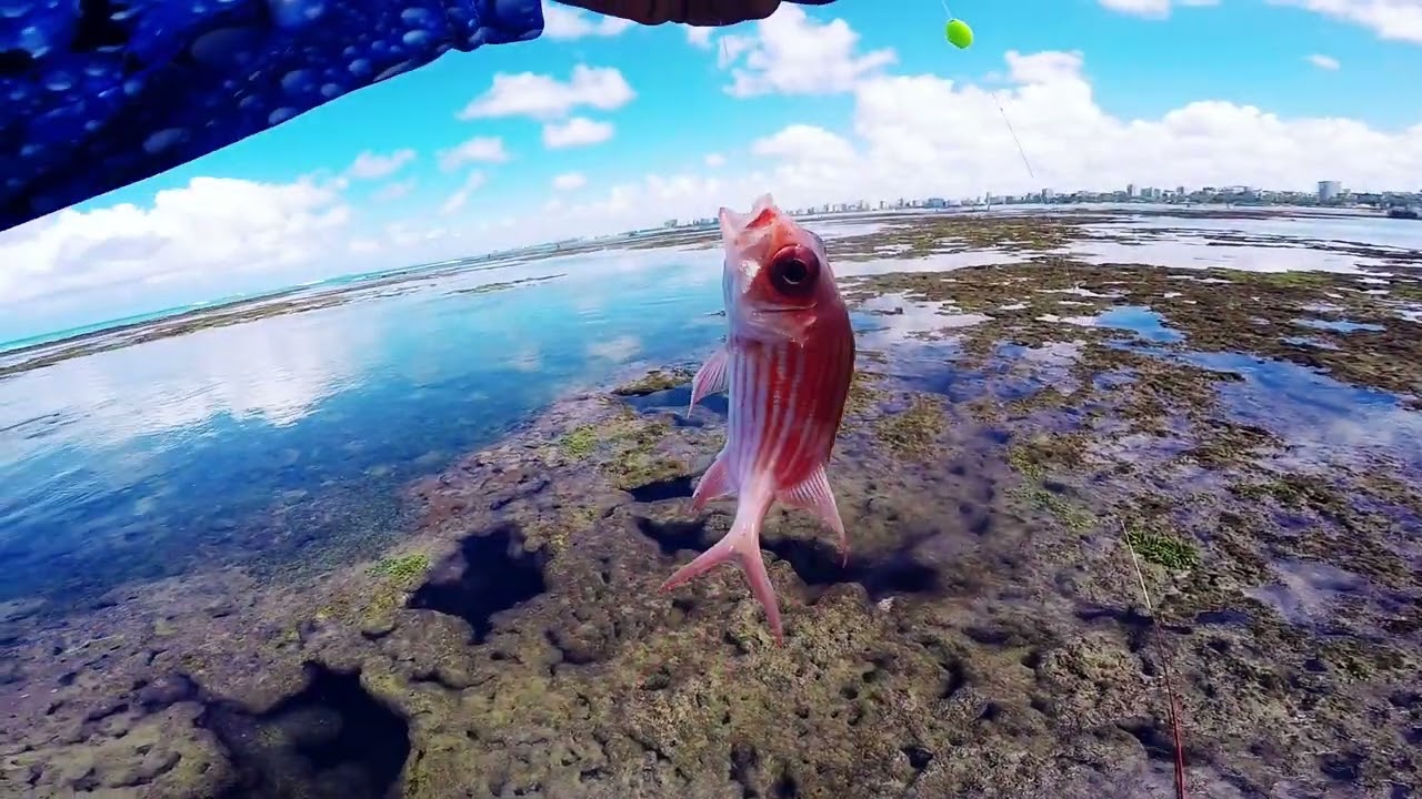 pescaria nas pedras da ponta verde pela primeira vez por traz do Marco dos Corais