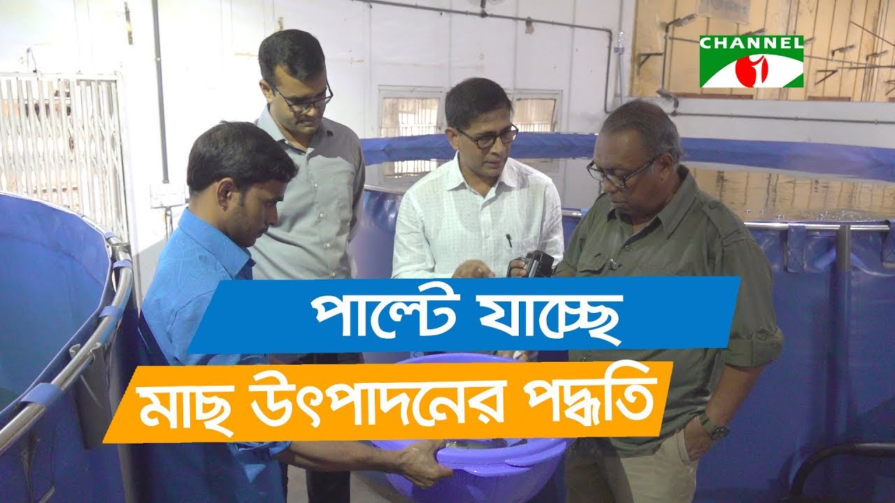 দ্রুতই পাল্টে যাচ্ছে মাছ উৎপাদনের হিসাব নিকাশ | Indoor Fish Farming | Shykh Seraj | Channel i |