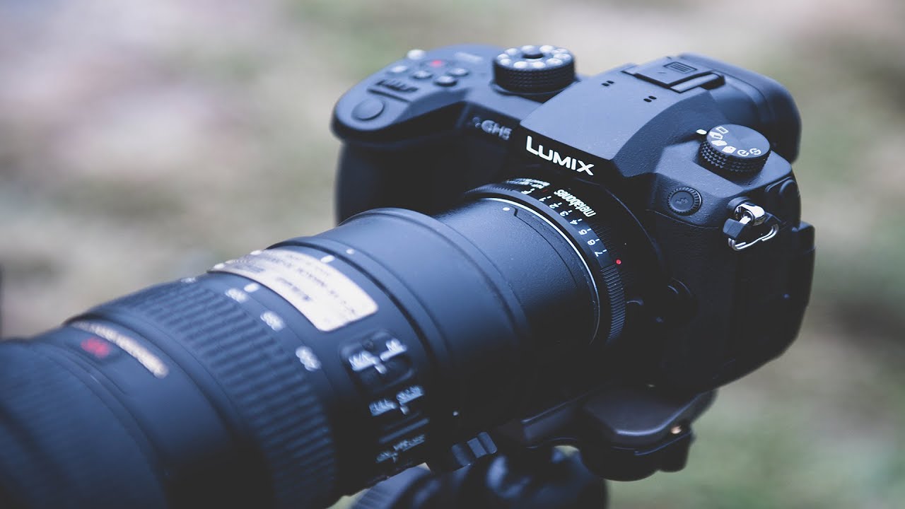 Panasonic GH5 + Metabones + Nikkor Lens Test