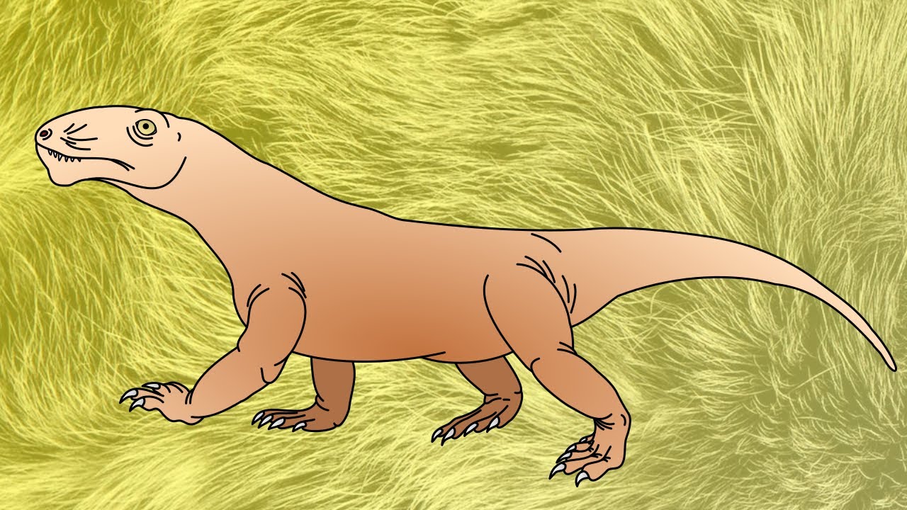 EVOLUCIÓN de los MAMÍFEROS - Los SINÁPSIDOS