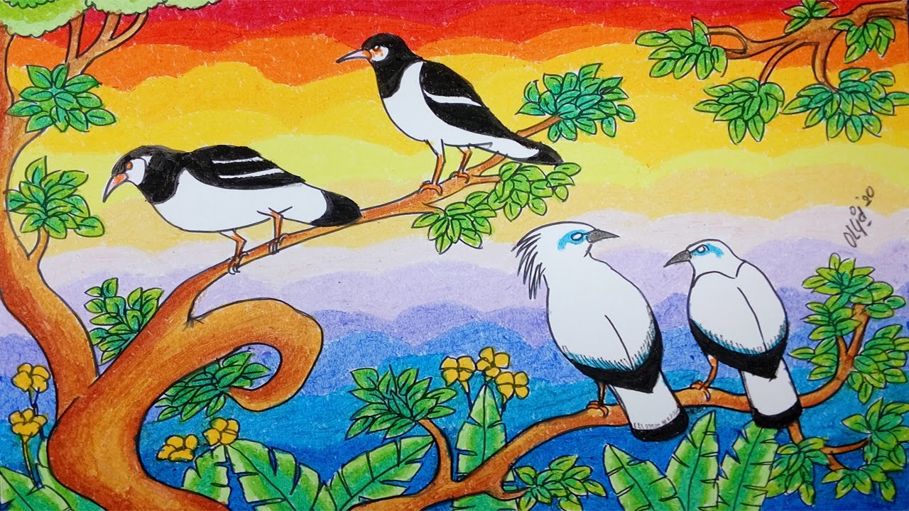 Cara Menggambar Burung Jalak dan Jalak Bali Dengan Crayon/Oil Pastel