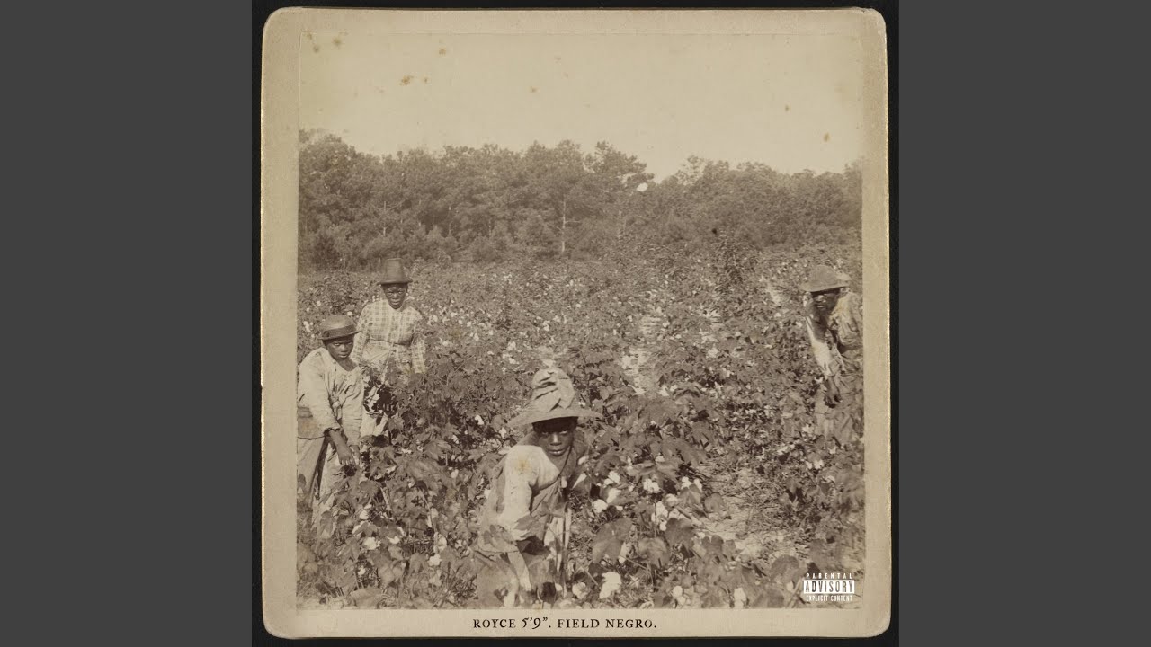 Field Negro