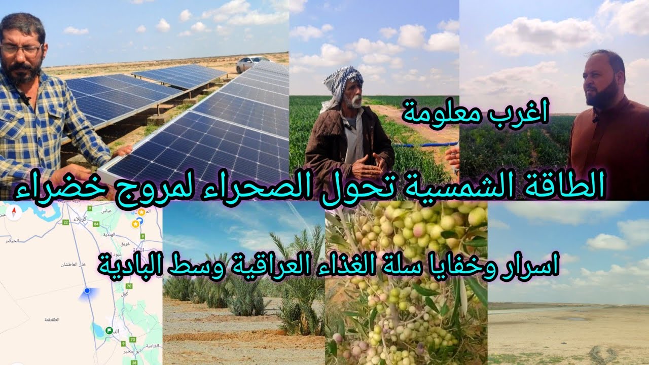 اسرار وخفايا بادية النجف الطاقة الشمسية تحولها لمروج خضراء أكثر من 2000 مزرعة سلة غذاء وسط الصحراء