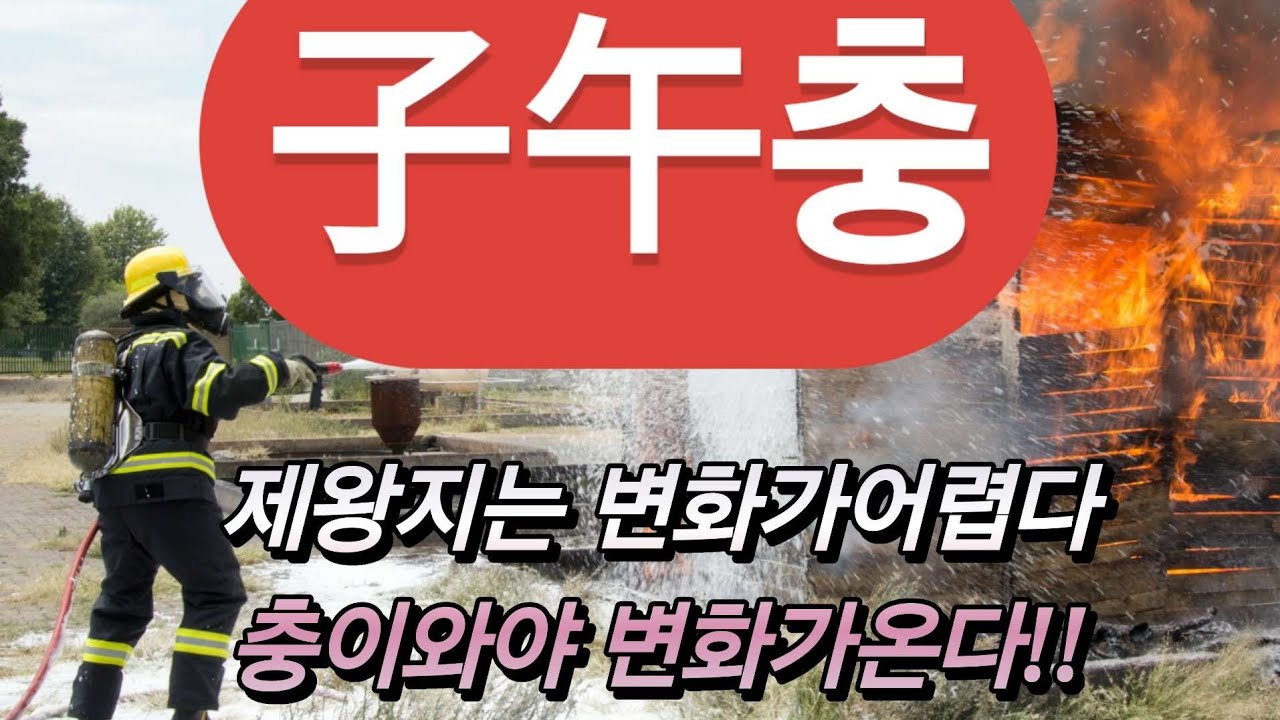자오충이란무엇인가?#사주풀이#자오충#명리#형충파해