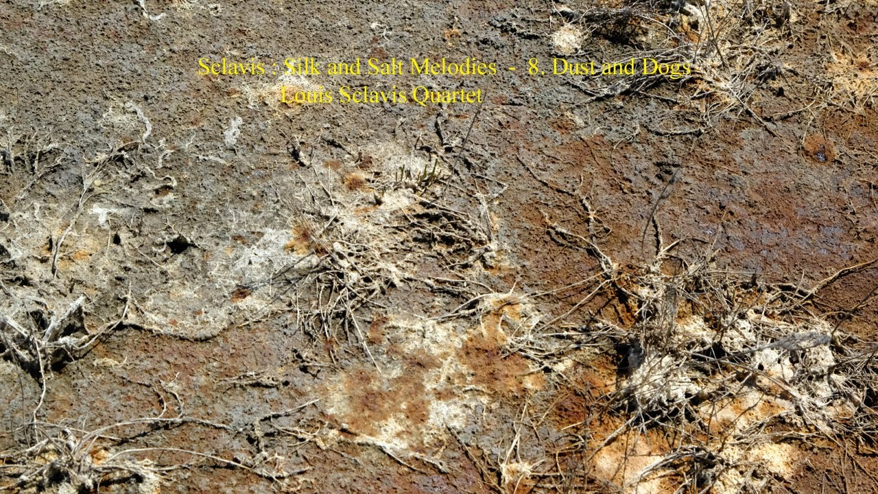 Sclavis : Silk and Salt Melodies - 8. Dust and Dogs