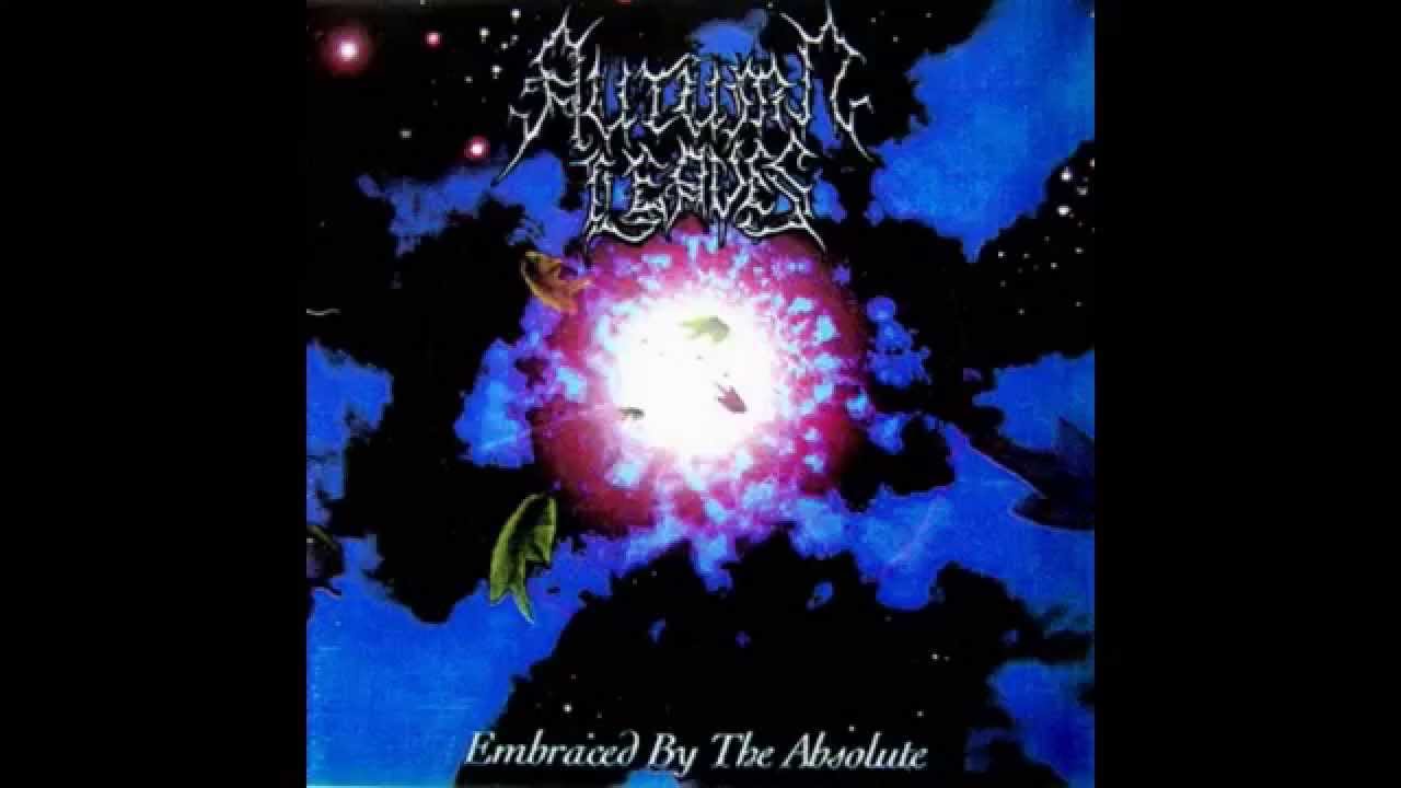 Autumn Leaves - Hope springs eternal