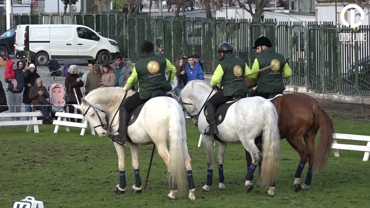 Feira da Caça e Turismo | Espetáculo Equestre