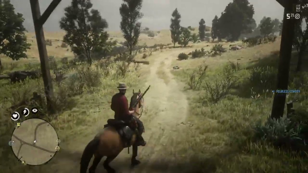 RDRO: New Cowboy pt 2